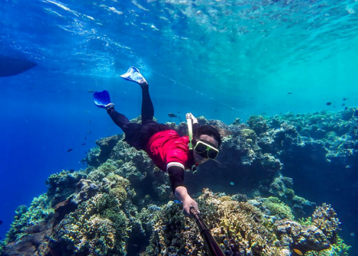 Menikmati Keindahan dan Kejernihan Kristal di Taman Laut Menjangan Bali, Simak Informasi Selengkapnya Berikut