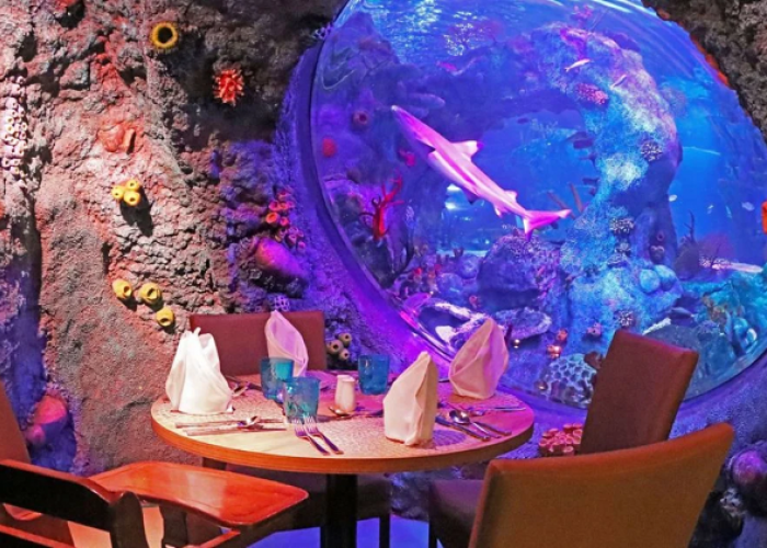 Makan Mewah Dikelilingi Ribuan Ikan, Sensasi Underwater Dining di LEGOLAND Malaysia