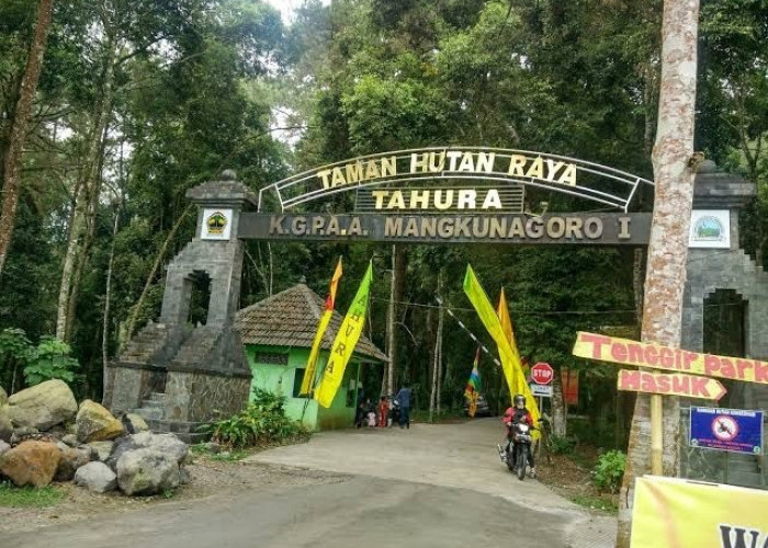 Jangan Sampai Terlewat! 9 Pesona Wisata Terbaru 2024 di Alam Tahura Raden Soerjo Malang, Wajib Kamu Kunjungi