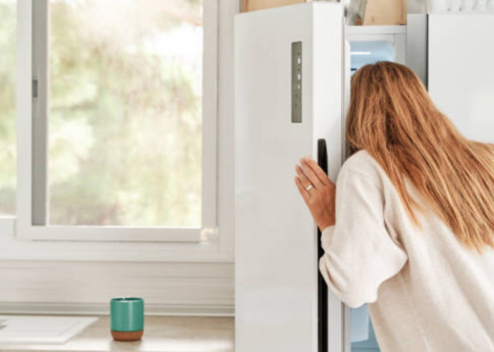 5 Penyebab Utama Freezer Merek Kulkas Terbaik Tidak Beku Meski Kondisi Dingin, Cek Ulasannya