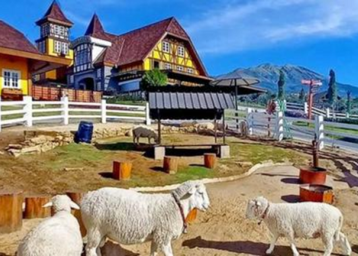 Short Trip Cepogo Cheese Park dari Solo Cocok dijadikan Liburan Seru Cuma Rp 135 Ribuan!