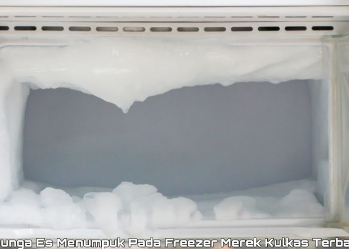 Penyebab Freezer Merek Kulkas Terbaik Mengalami Penumupukan Bunga, Simak Disini Solusinya