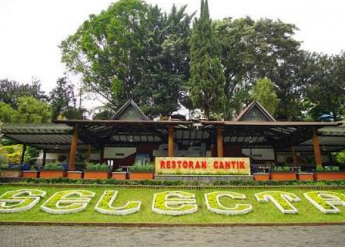 Menikmati Sajian Lezat di Restoran Cantik Taman Rekreasi Selecta, Harga Mulai Rp 10 Ribuan