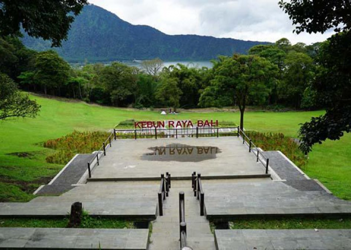 Menjelajahi Rekomendasi Destinasi Wisata Pilihan di Kawasan Sejuk Bedugul