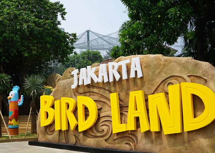 Liburan Edukatif Jakarta Bird Land, Cek Promo Tiket Terbaru dan Jadwal Pertunjukan Burung