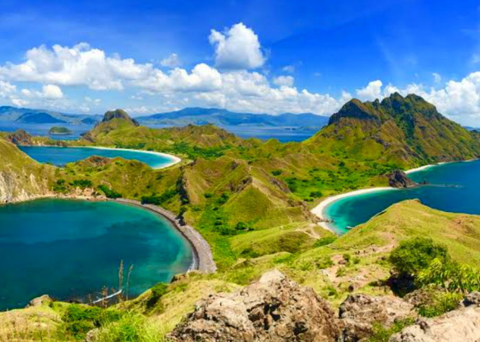 Daya Tarik Wisata Terbaru 2024 Pulau Komodo yang Banyak Digemari Wisatawan Domestik, Cek Lengkapnya Disini