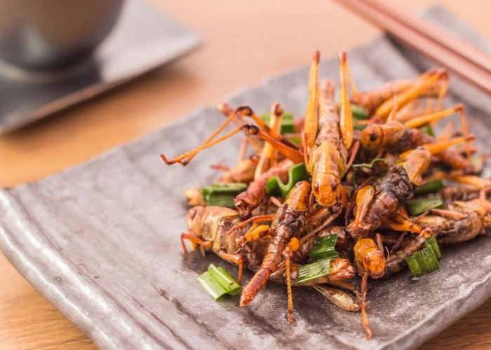 7 Ragam Kuliner Ekstrem Indonesia yang Berikan Pengalaman Bersantap Anti Mainstream, Cek Disini