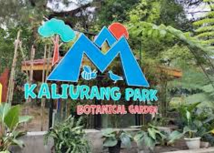 Wisata Awal Tahun Kaliurang Park Botanical Garden Jogja Taman Botani Dengan Konsep Rekreasi