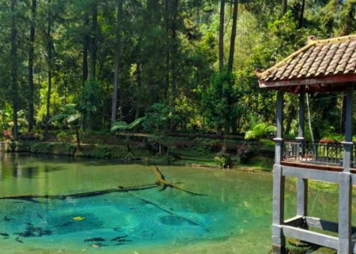 Rekomendasi 8 Tempat Wisata Terbaru 2024 di Kota Blitar, Cocok Dikunjungi Bareng Sahabat Ataupun Keluarga
