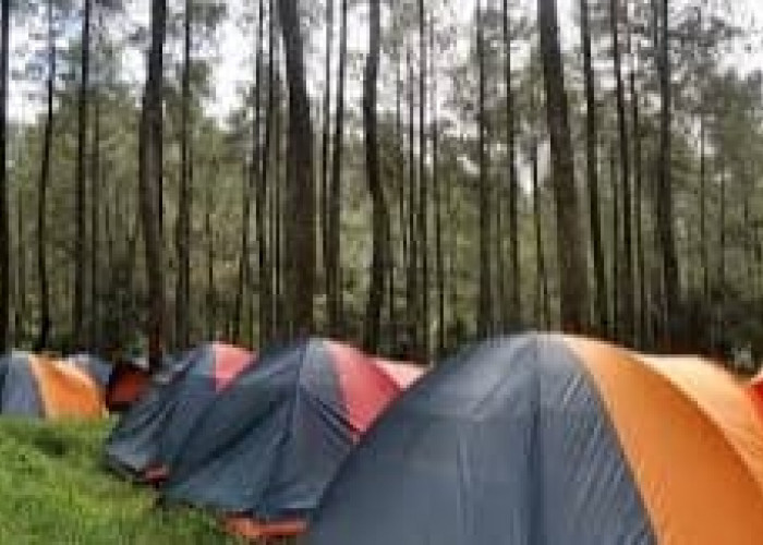 Camping Eksklusif di Lembang? Wisata Terbaru 2024 Bandung Utara, Manjakan Mata dengan Keindahan Alam Eksotis!