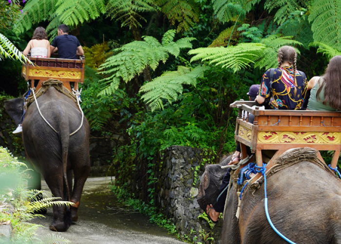 Liburan Keluarga ke Tasta Zoo Bali, Kebun Binatang Ramah Lingkungan dengan Satwa Langka