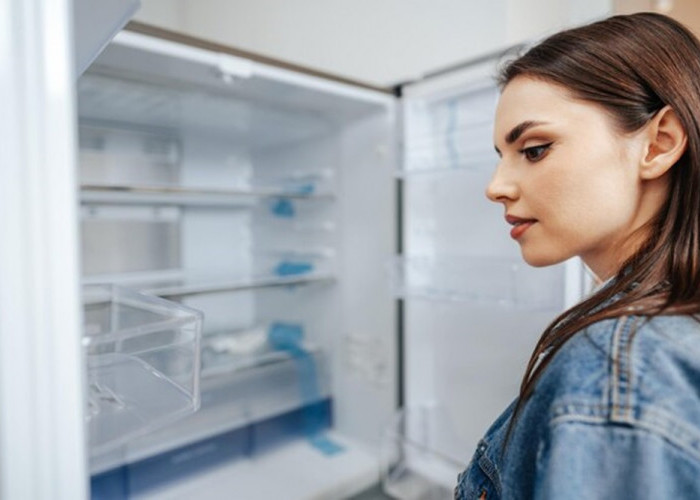 Jangan Diabaikan, Berikut Efek Freezer Merek kulkas Terbaik Tidak Memiliki Pintu