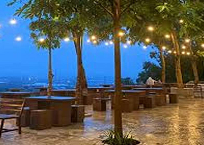 Nyaman dan Keren! 8 Cafe Viral Gresik 2025, Cocok Untuk Nongkrong Asyik Saat Malam Hari