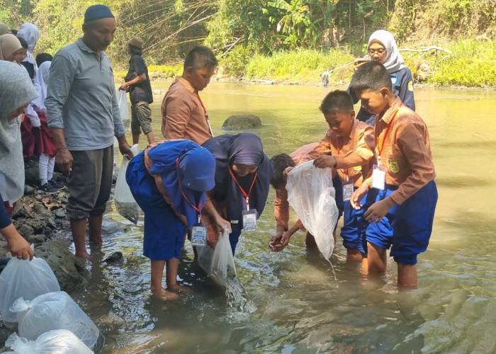 Prihatin Ikan Lokal Makin Sulit Ditemukan, Pemkab Bantul Inisiasi Suaka Perikanan Berbasis Masyarakat