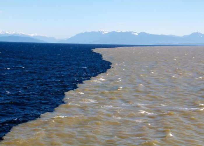 Halocline, Fenomena Laut Dimana 2 Jenis Air Laut Tidak Bersatu