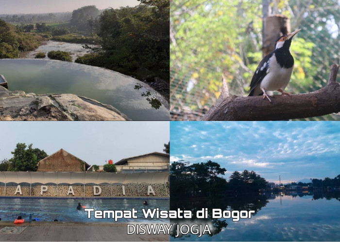 5 Tempat Wisata Terbaru 2024 Hidden Gems di Parung Bogor, Cocok Untuk Libur Lebaran Bersama Keluarga