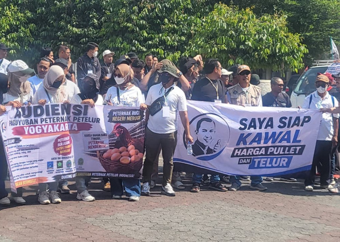 Paguyuban Peternak Telur Gelar Aksi Damai di DPRD DIY, Ini 6 Tuntutannya
