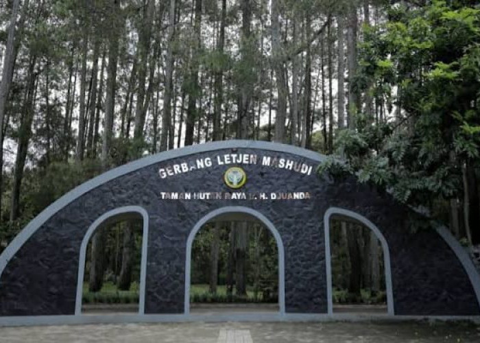 Taman Hutan Raya Ir. H. Juanda Bandung, Jelajahi Pesona Alam Sejarah Wisata Terbaru 2024