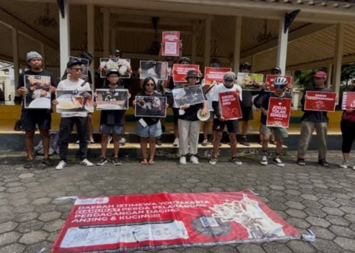 Makin Merajalela, Komunitas Masyarakat Peduli Satwa di Jogja Lakukan Aksi Penolakan Perdagangan Daging Anjing