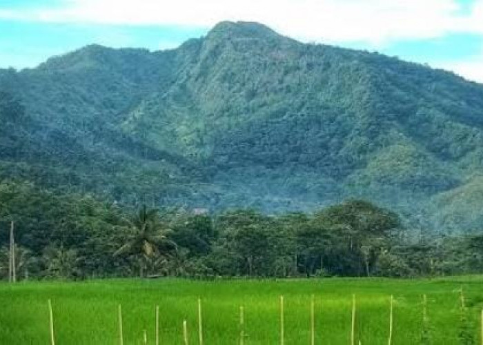 3 Fakta Desa Cawitali Kecamatan Bumijawa Tegal yang Menjadi Tempat Persinggahan Syekh Siti Jenar