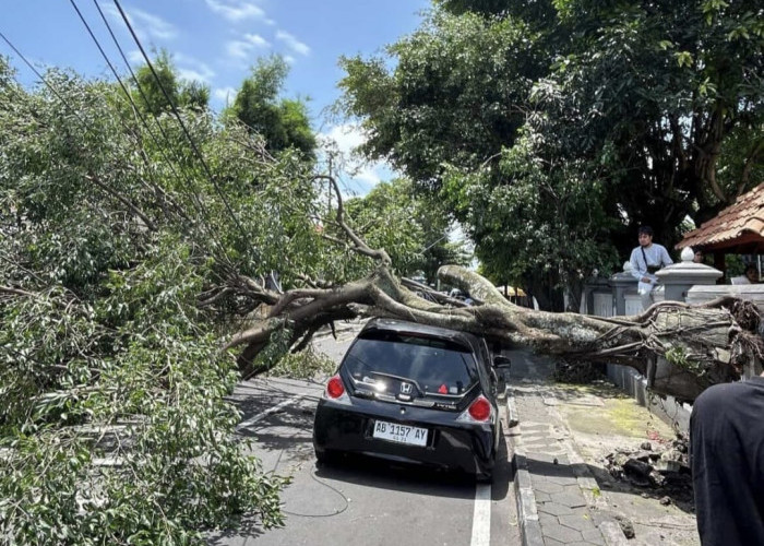 Angin Kencang Landa DIY, 68 Titik di Sleman Terdampak