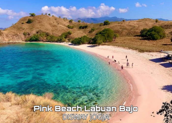 Rekomendasi Aktivitas Seru yang Bisa Kamu Lakukan Saat Berlibur ke Wisata Terbaru 2024 Pink Beach Labuan Bajo