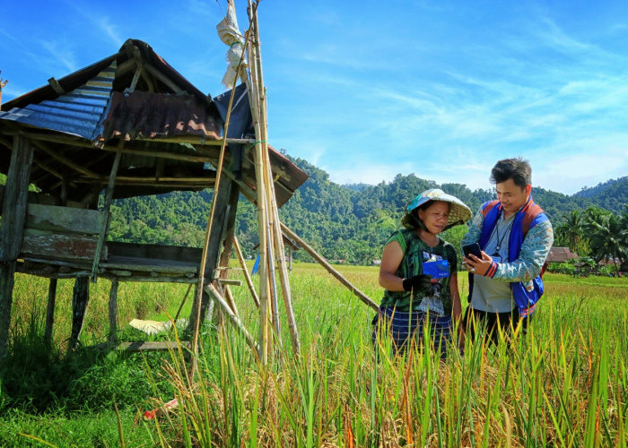 Hingga Akhir Juni 2026 Penyaluran KUR BRI Capai Rp103,81 Triliun, Dukung Agenda Pemberdayaan Ekonomi Danantara