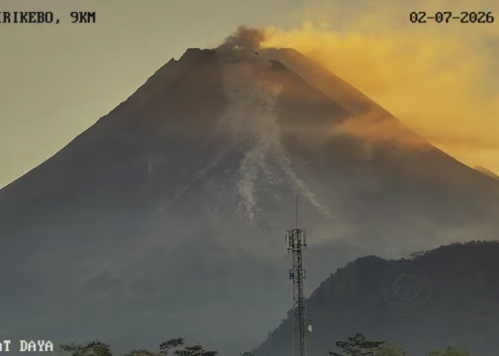 Merapi Erupsi Lagi Hari Ini, BPPTKG Catat Awan Panas Guguran Sejauh 1,7 Kilometer
