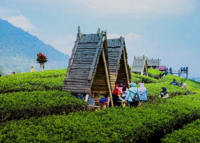 Wisata Wayang Windu Panenjoan Bandung: Daya Tarik, Tiket Masuk, Lokasi hingga Rute Perjalanan Lengkap