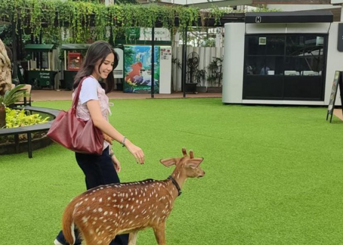 Liburan Anak Jadi Menyenangkan, Berikut Rekomendasi Mini Zoo di Jabodetabek