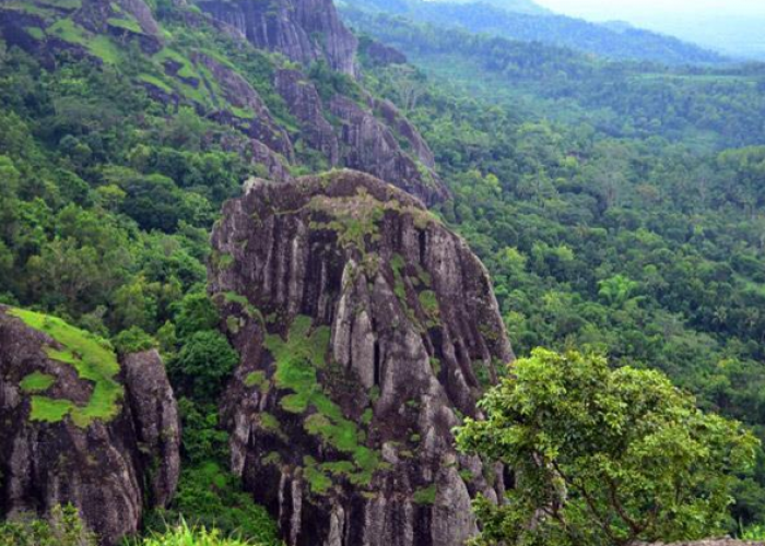 Tren Pendakian Tektok 2026 Jadi Keajaiban Geologi Gunung Api Purba Nglanggeran