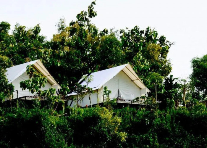6 Tempat Glamping di Gunungkidul, Tawarkan Pengalaman Super Nyaman dengan Panorama Bikin Jatuh Hati