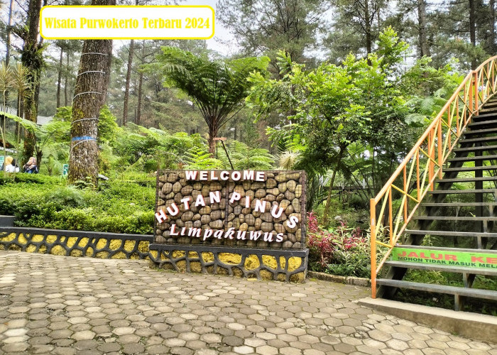 Wisata Terbaru 2024 Purwokerto di Hutan Pinus Limpakuwus, Nikmati 7 Aktifitas Menarik Disini