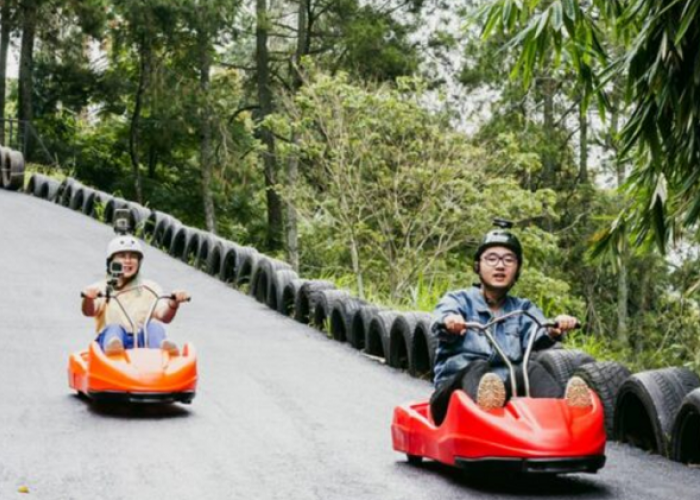 Healing Murah ke Go Luge Puncak Jakarta Jadi pilihan Tepat