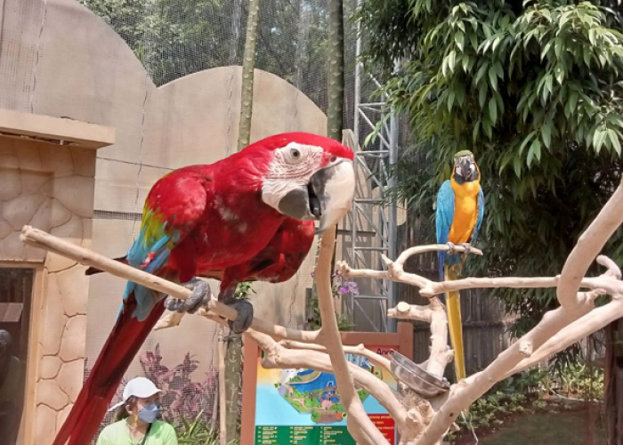 Menjelajahi Destinasi Wisata Edukasi Terpadu di Jakarta, Simak Referensi Lengkapnya Berikut Ini