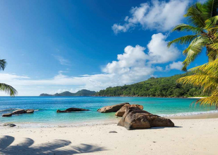 5 Destinasi Pinggir Pantai Menarik Jogja Tawarkan Suasana Hijau Menyegarkan Mata, Cek Disini