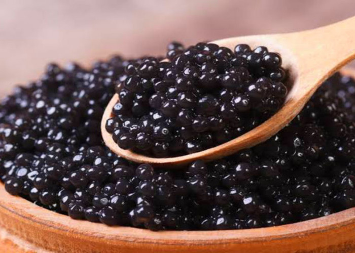 Caviar, Kelezatan serta Keistimewaan dari Samudra dalam Sebutir Telur