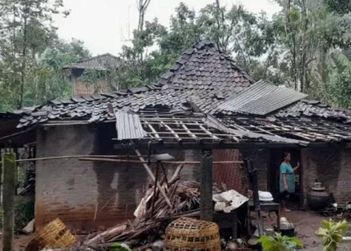 Angin Puting Beliung Terjang Gunung Kidul, 19 Rumah Rusak dan Pohon Tumbang