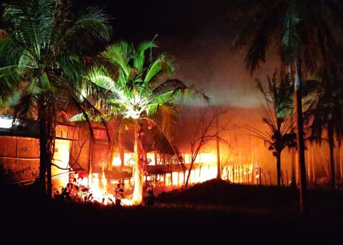 Kandang Berisi 20.000 Anak Ayam di Kulon Progo Ludes Terbakar, Polisi Selidiki Penyebabnya