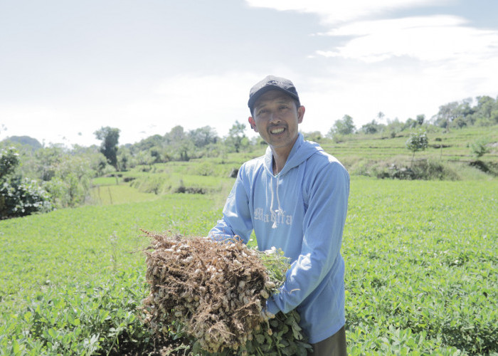 Desa BRILiaN Tompobulu: Wujud Sinergi Potensi Lokal dan Digitalisasi Dorong Pertumbuhan Ekonomi Berkelanjutan