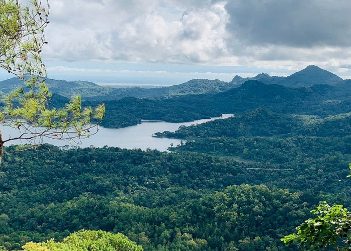 Berkunjung ke Wisata Kalibiru Jogja Tawarkan Pengalaman Seru, Cocok untuk Penggemar Alam dan Fotografi