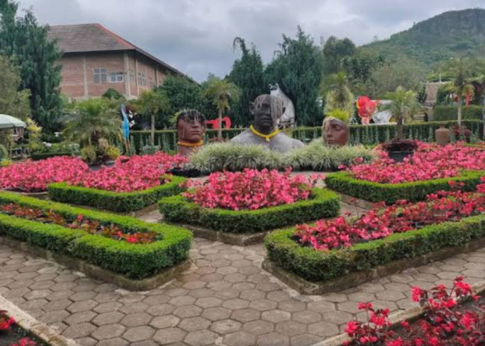 Wisata Terbaru 2024 Kebun Begonia Lembang: Aktivitas Menarik, HTM dan Operasionalnya