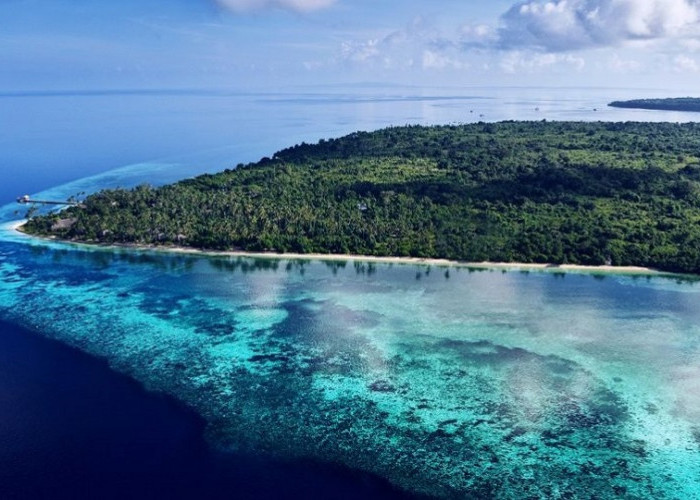 Surga Para Penyelam? Wisata Terbaru 2024, Destinasi Unik di Wakatobi Pesona Indah Bawah Laut Bikin Terkesima!