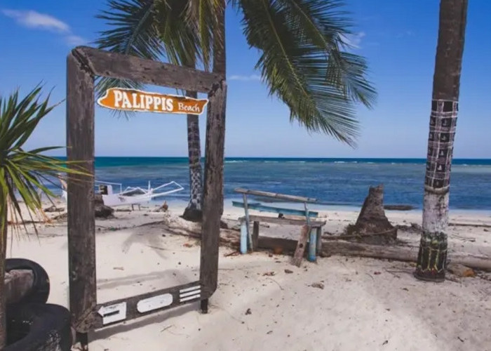 Pancarkan Pesona Memikat, Simak 5 Destinasi Wisata Indah di Polewali Mandar Paling Layak Kamu Kunjungi