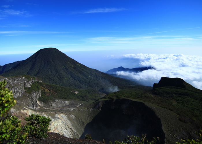 Pesona Alam Menikmati Keajaiban Taman Nasional Gunung Gede Pangrango, Simak Ulasan Selengkapnya