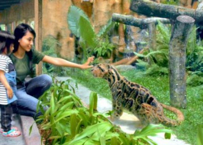 Liburan ke Jogja dari Solo, Rencana Perjalanan ke Gembira Loka 