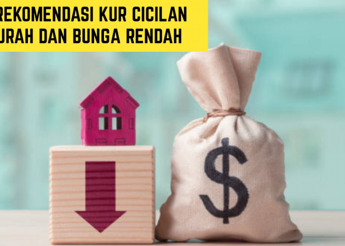 Sudah Tahu Belum?? Ini 4 Rekomendasi KUR dengan Cicilan Murah dan Bunga Rendah untuk Para Pelaku UMKM