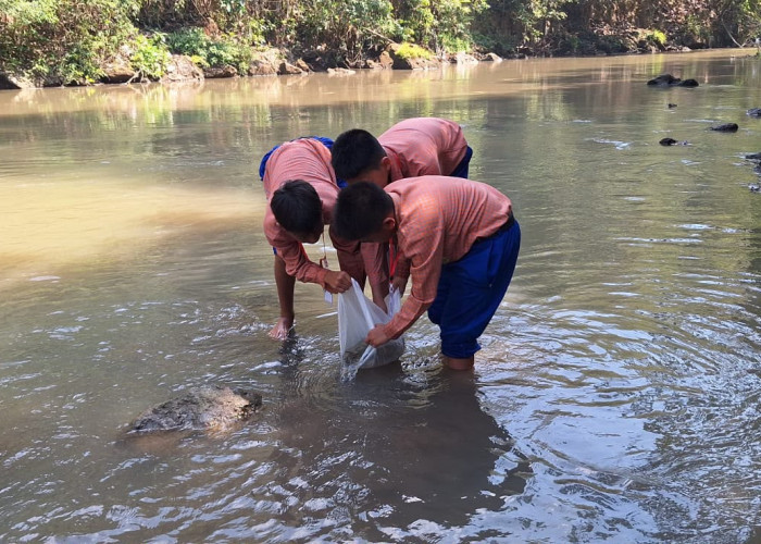Enam Suaka Perikanan Dikembangkan di Bantul, Warga Sungai Konteng Mulai Rasakan Nilai Positifnya
