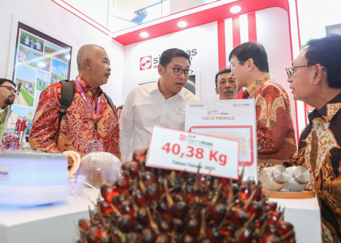 B50 Jadi Bergaining, Wamentan Sudaryono Targetkan Indonesia Jadi Penentu Harga Sawit Dunia