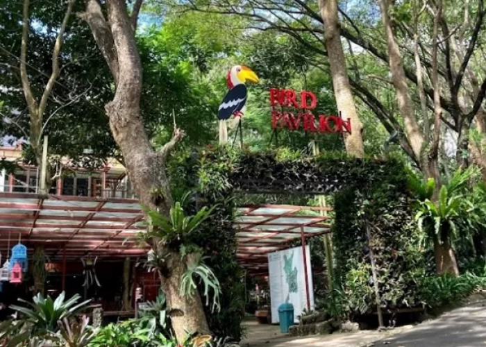 Liburan Lebih Berkesan, Berikut Spot Terbaik untuk Healing dan Nongkrong Estetik di Dago Bandung